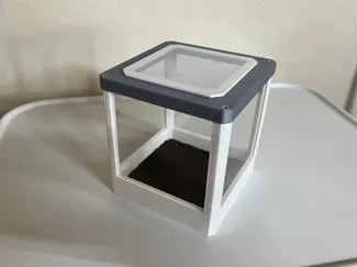 饲养盒