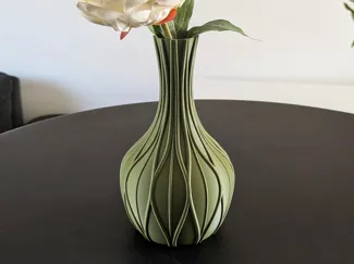 Elegant Flow Vase