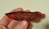 Poisson arowana asiatique — photo 3