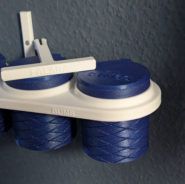 https://makerworld.bblmw.com/makerworld/model/US4ea977d578df5d/design/2024-12-29_d65c785f852b9.jpg