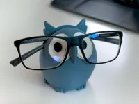 Porte-lunettes hibou — photo 1