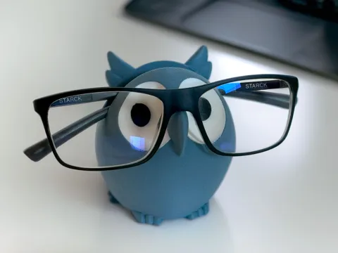 Owl Glasses Holder