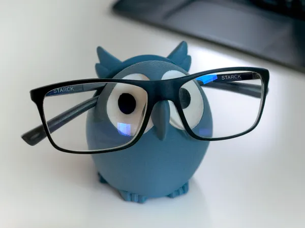 Porte-lunettes hibou