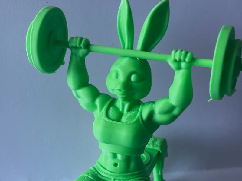 Gym bunny decoration