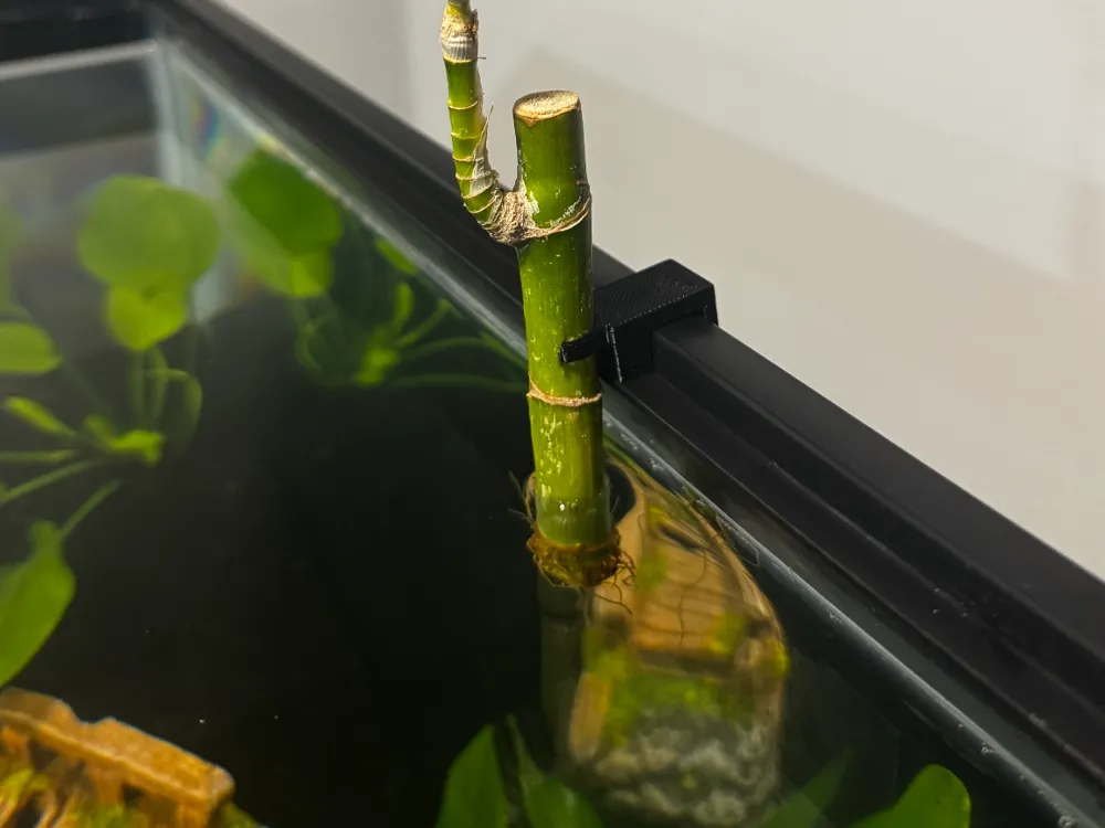 Aquarium Lucky Bamboo Holder for Aqueon Fish Tanks - Free 3D Print Model -  MakerWorld