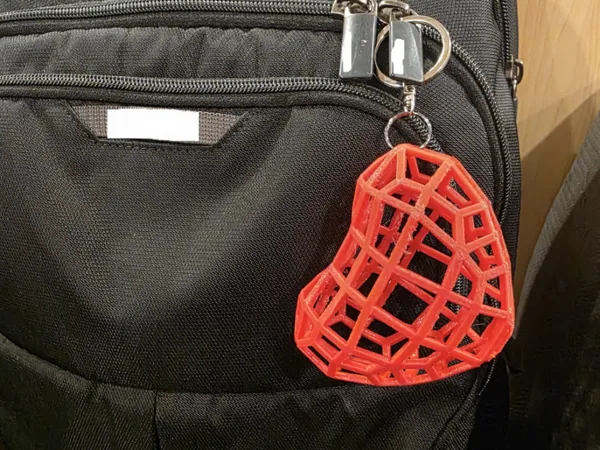 https://makerworld.bblmw.com/makerworld/model/US4eb34212934635/design/2026-01-15_a984996baf7e08.jpg