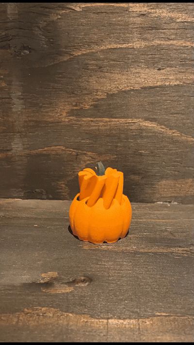 pumkin fidget pastrought