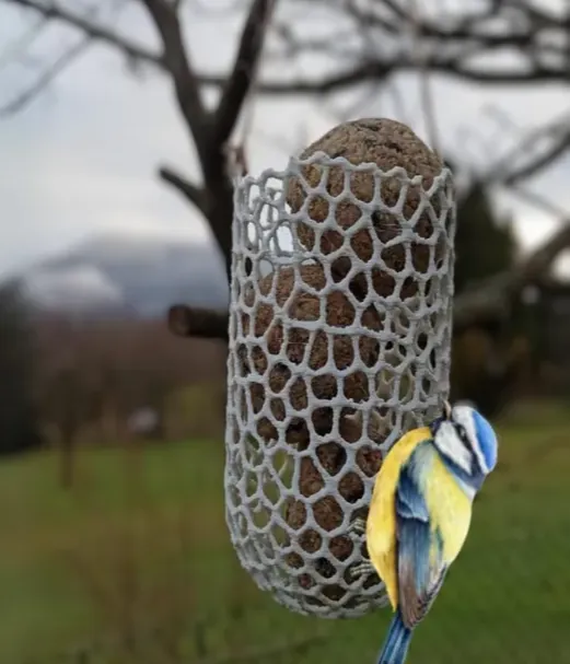 Safe voronoi FatBall bird feeder