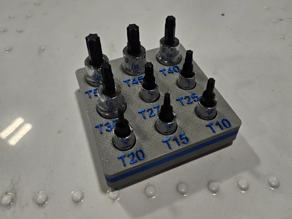 https://makerworld.bblmw.com/makerworld/model/US4eb94ea71e1892/design/2025-01-10_576fa0316b069.jpg