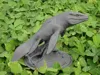 Mosasaurus