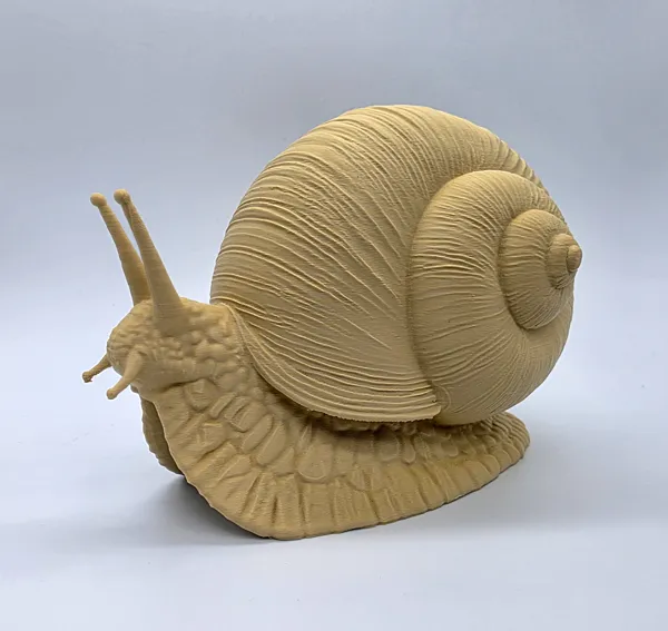 https://makerworld.bblmw.com/makerworld/model/US4eb9e26d02c7c6/design/2026-01-06_c75uvpdqi5gm.jpg