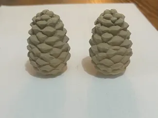 Pine cone
