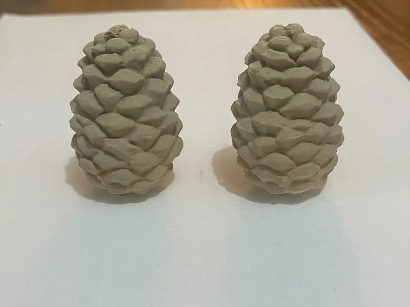Pine cone