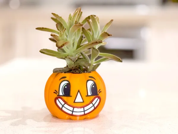 https://makerworld.bblmw.com/makerworld/model/US4ebae21d889d4b/design/2024-09-21_5c1eb14366cf7.jpg