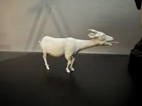 Pilgor Baa (Goat Simulator) — photo 2