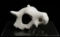 0.12mm layer, 2 walls, 15% infill
