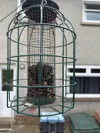 60mm for sunflower seed feeder