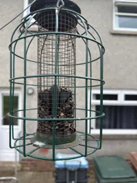 60mm for sunflower seed feeder