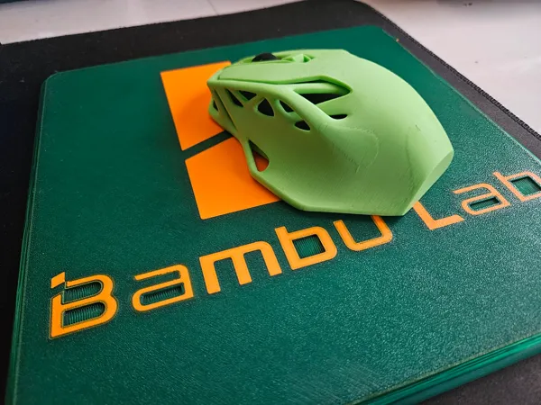 https://makerworld.bblmw.com/makerworld/model/US4ec2110b153e86/design/2023-12-11_297ac50a158a6.jpg