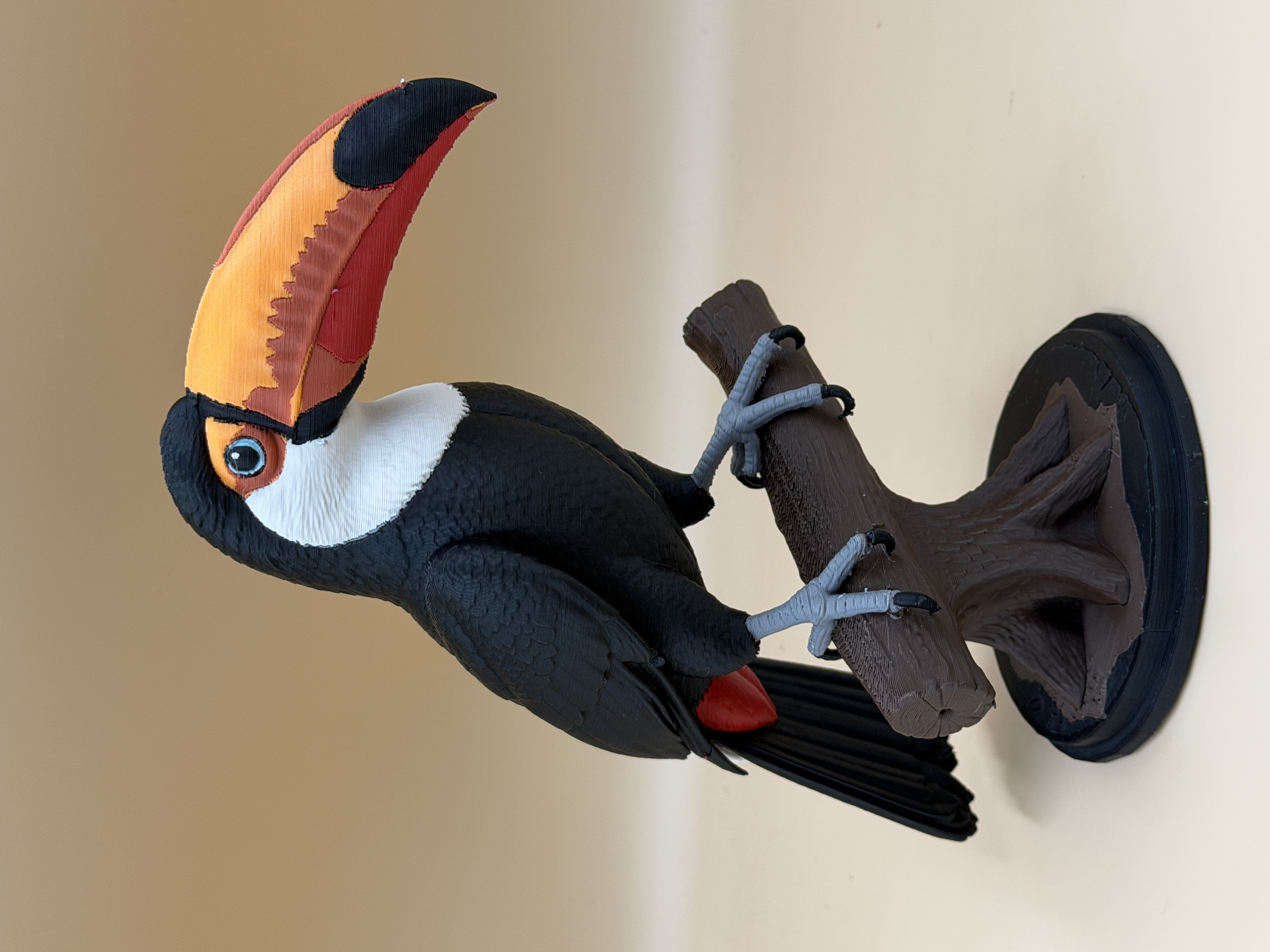 Treetop Toucan - 1
