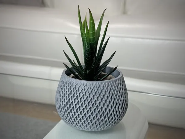 https://makerworld.bblmw.com/makerworld/model/US4ed705d2cfdd0c/design/2024-08-25_acb6d672e0a818.jpg
