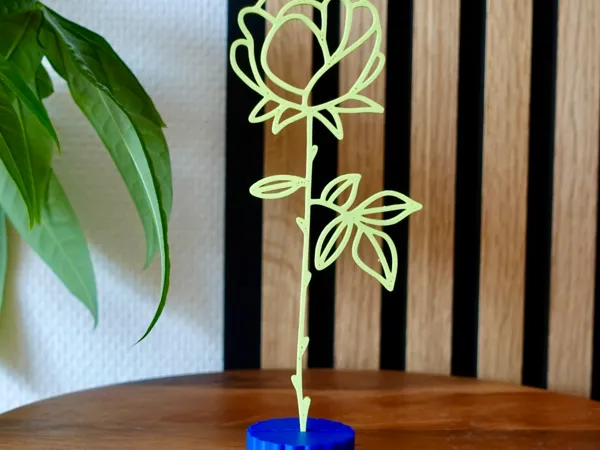 https://makerworld.bblmw.com/makerworld/model/US4ed9ae7e1d82f9/design/2025-09-21_4e6ded742b877.jpg