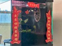 吉庆有余,闲鱼摆尾生祥瑞,良马扬蹄启新程