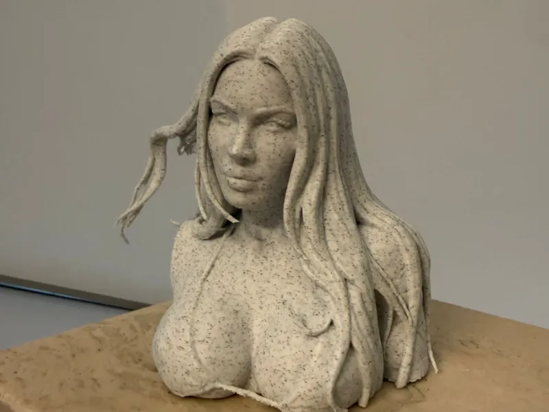 Megan Fox Bust 