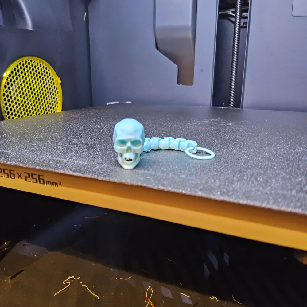Skull flex key chain - Free 3D Print Model - MakerWorld