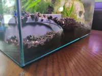 0.28mm layer, 2 walls, 15% infill