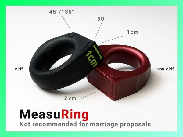 https://makerworld.bblmw.com/makerworld/model/US4eea8d9d176ff/design/2025-09-01_c3739eff565c18.jpg
