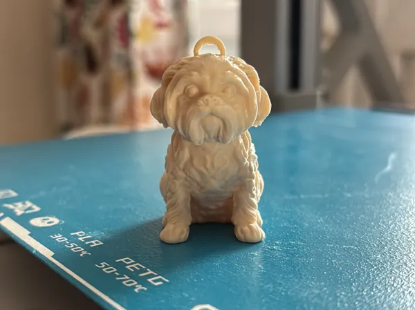 https://makerworld.bblmw.com/makerworld/model/US4eeb1474687ab1/design/2025-09-23_3b9ba54eea67b8.jpg