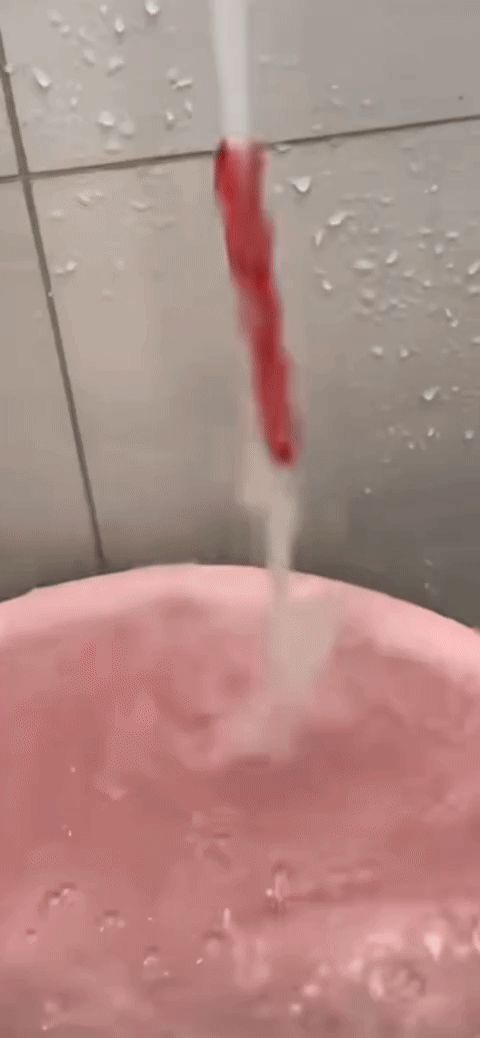 https://makerworld.bblmw.com/makerworld/model/US4ef62f754dfd1c/design/2025-11-23_e827e83d52bb88.gif