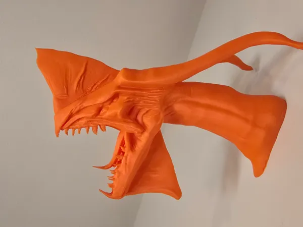 https://makerworld.bblmw.com/makerworld/model/US4ef80182cecadb/design/2026-01-09_5549be6445e6c8.png