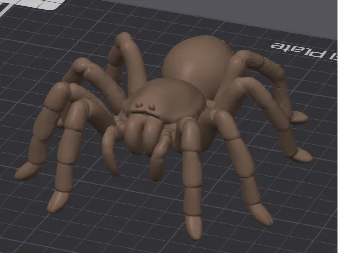 Spinne Tarantel