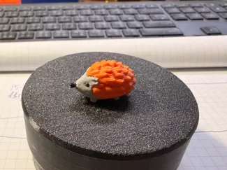 Q 刺蝟 Hedgehog