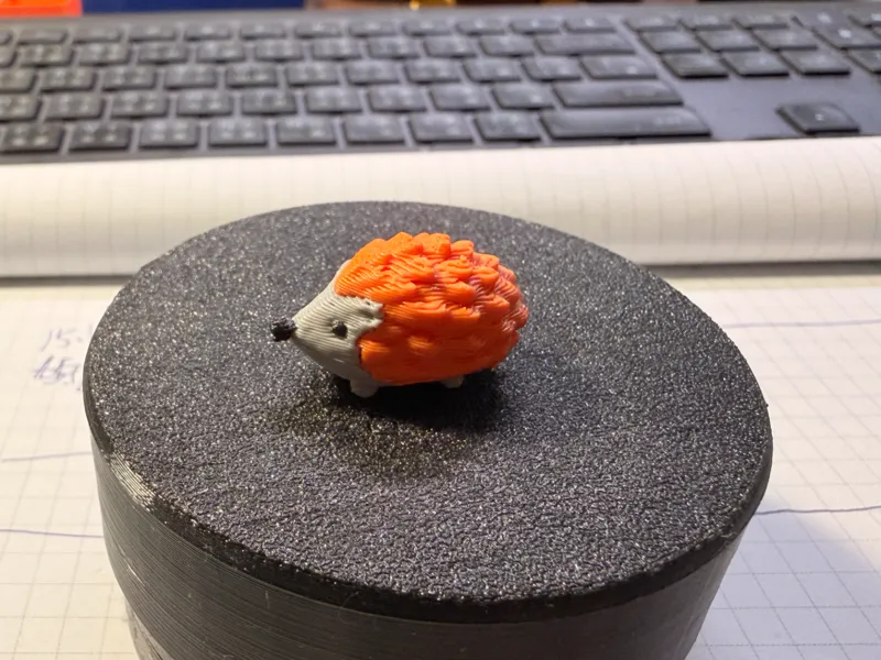 Q 刺蝟 Hedgehog