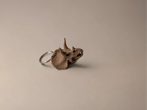 https://makerworld.bblmw.com/makerworld/model/US4efb466ba343f/design/2025-07-16_ea4d1e433c0a3.jpg