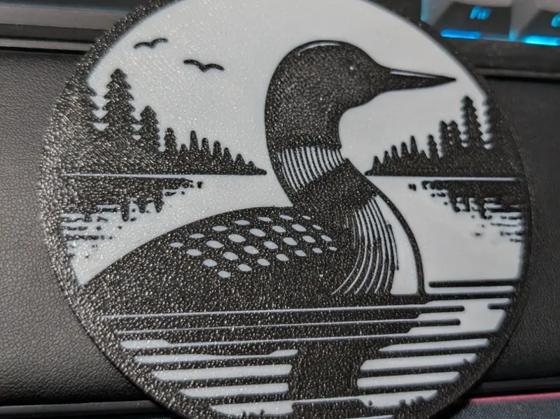 Loon Coaster 