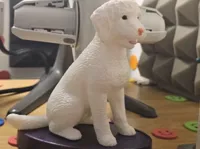 Figurine de chien d'eau espagnol — photo 1