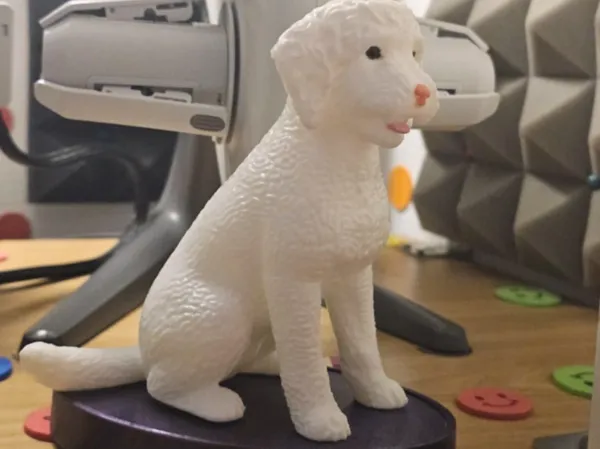 Figurine de chien d'eau espagnol