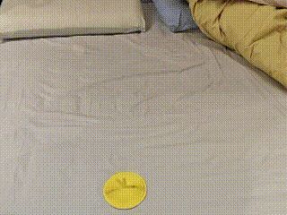 https://makerworld.bblmw.com/makerworld/model/US4f0549a61484f1/design/46282b77ef88dccd.gif