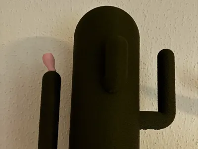 cactus watering can