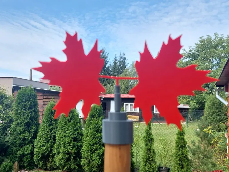 weather vane