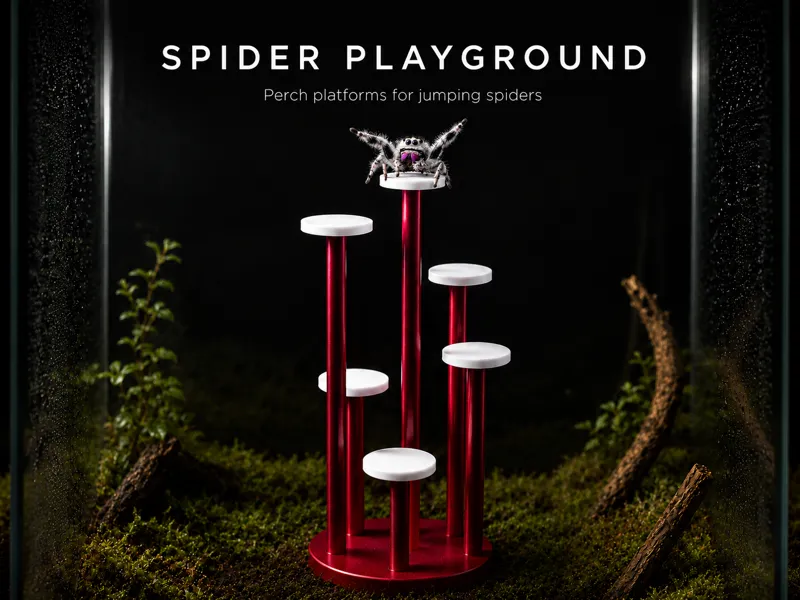 Spider Playground Platform Climbing System