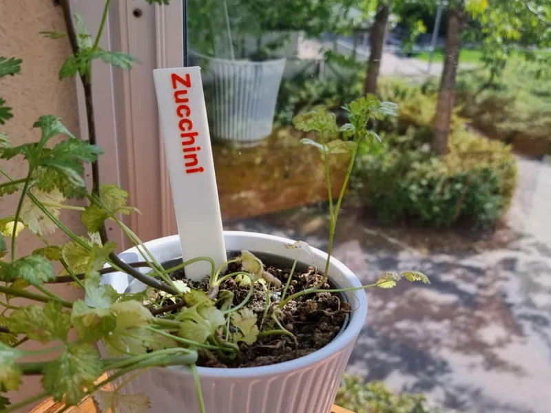 100 plant tags in 5 languages!