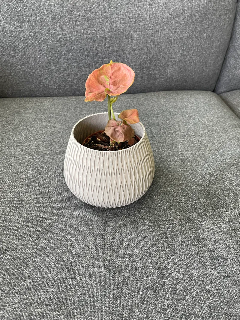 Plant Pot Double Striped 