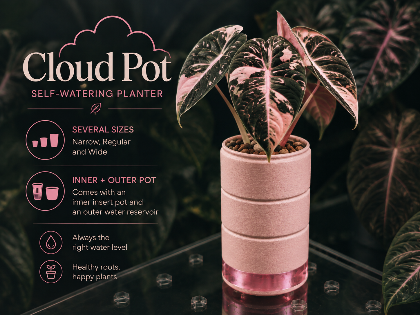 Cloud Pot – Self-Watering Plant Pot - 1