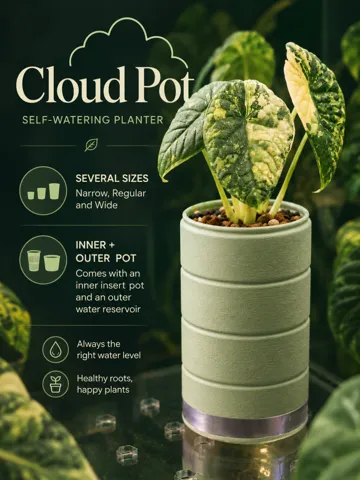 Maceta decorativa: Cloud Pot – Self-Watering Plant Pot — vista de referencia 2