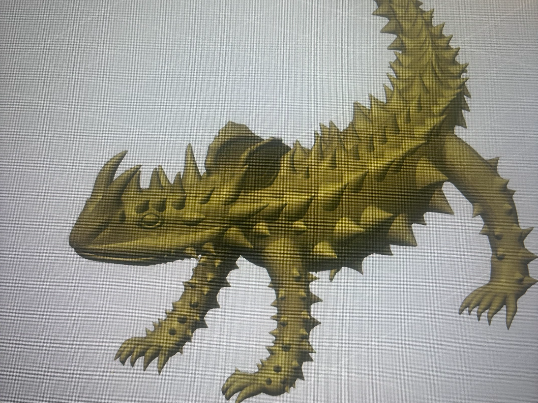 Thorny Devil Lizard